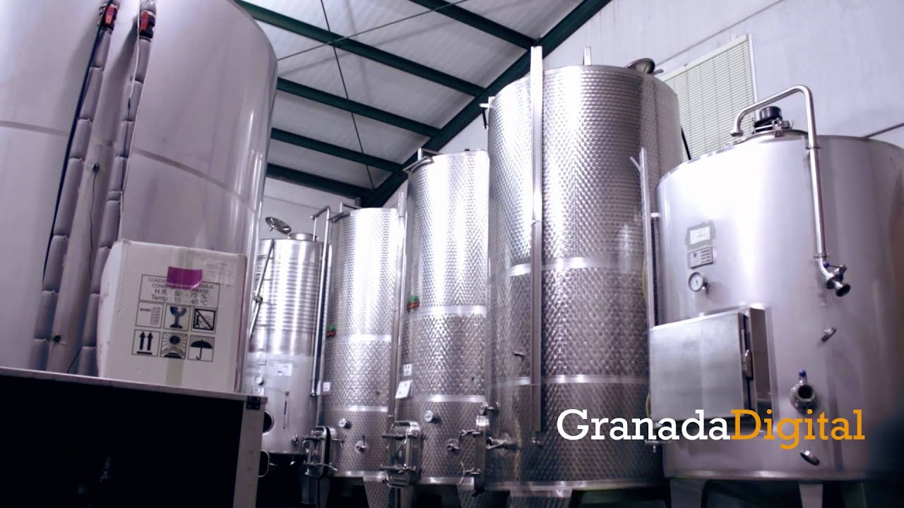 comprar vinos de granada comarca do granada cuerda suelta crianza
